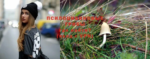 jwh Богданович