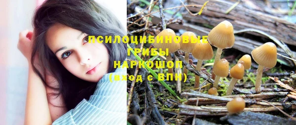 эйфоретик Богородицк